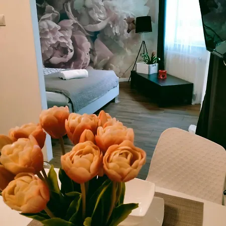 Parkcity Apartment Kattowitz