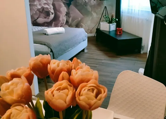 Parkcity Appartement Katowice